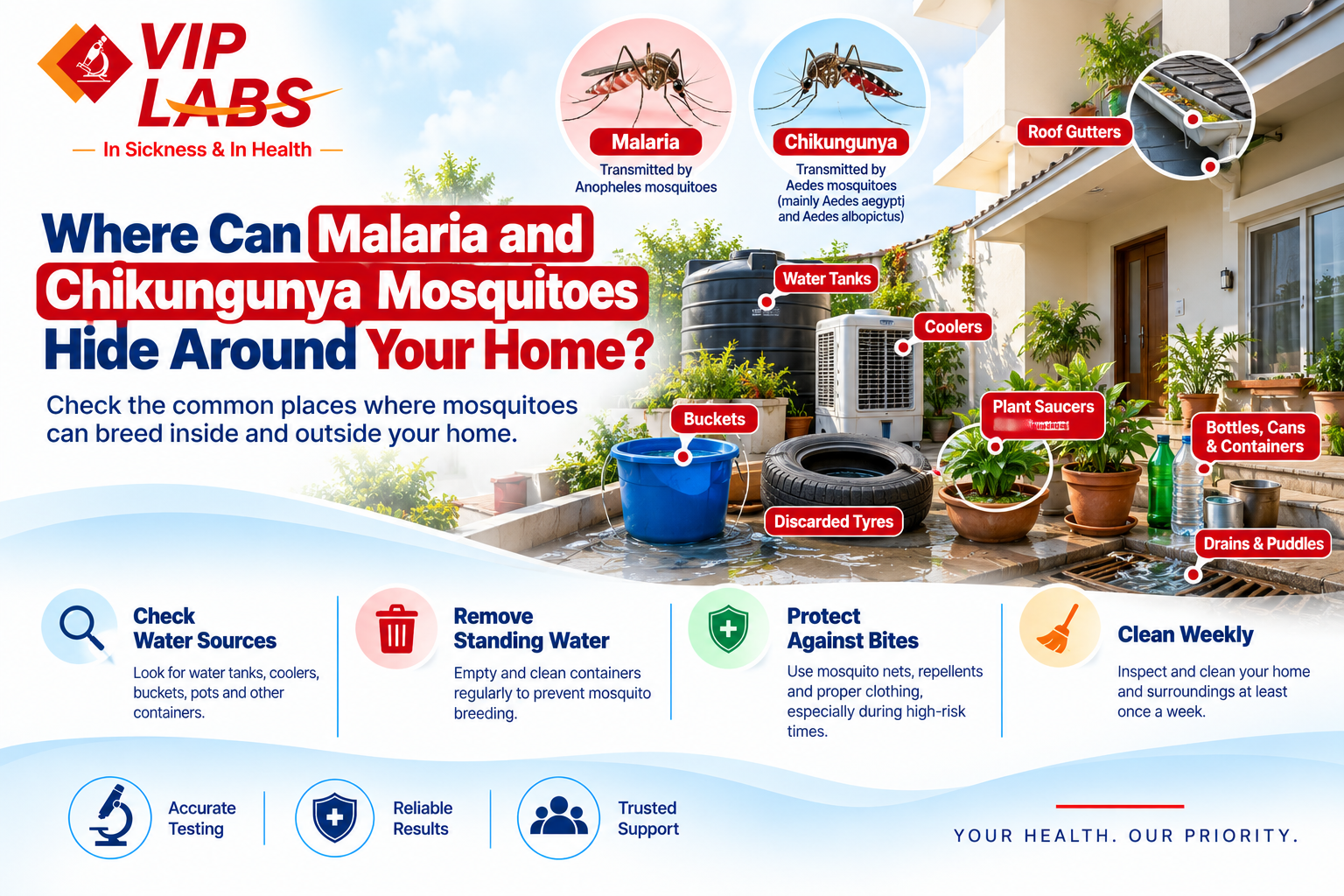 Where Can Malaria and Chikungunya Mosquitoes Hide Around Your Home?